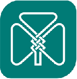 The Irish Run The World Logo