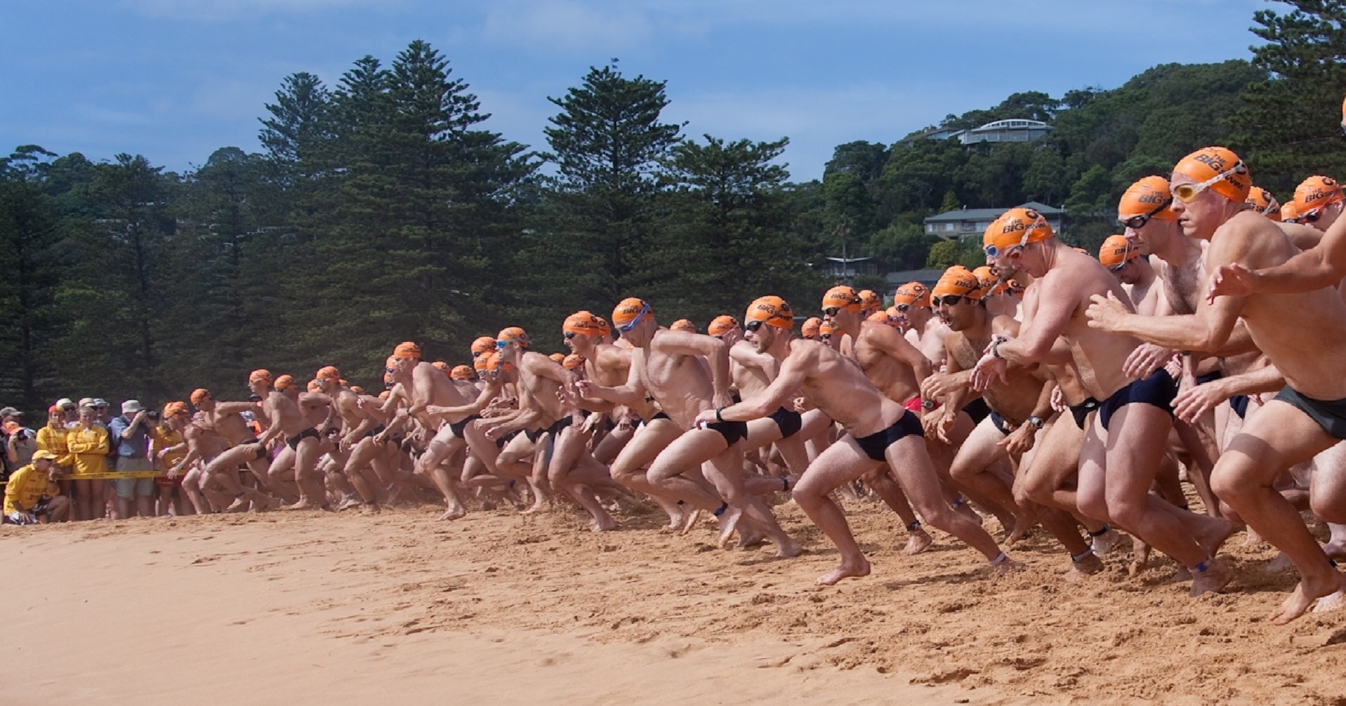 Whale Beach - The Big Swim Results (2021) | SportSplits