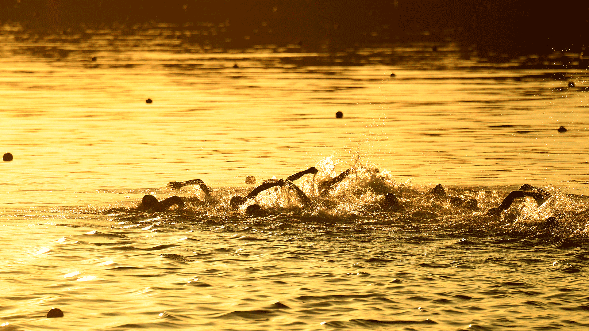 IRONMAN 70.3 Western Sydney (2022) Results MultiSport Australia