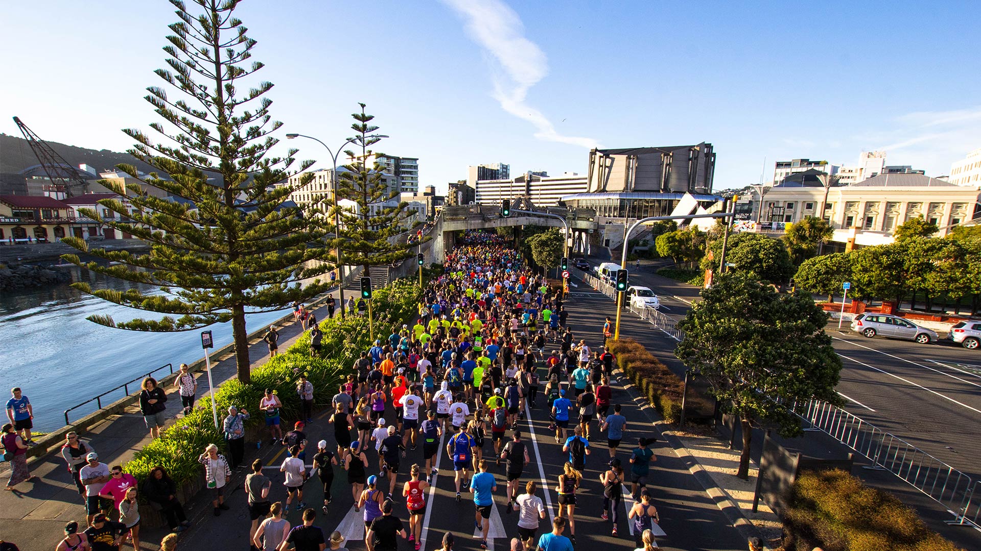 Go Media Half Marathon Southern Cross Round the Bays Wellington (2024