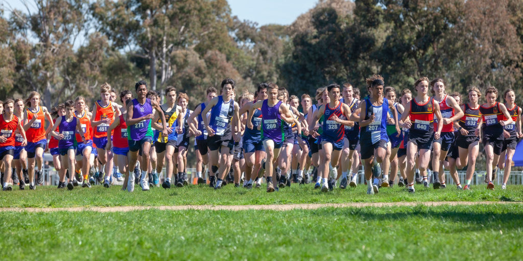 CSSA Cross Country (2024) Results MultiSport Australia