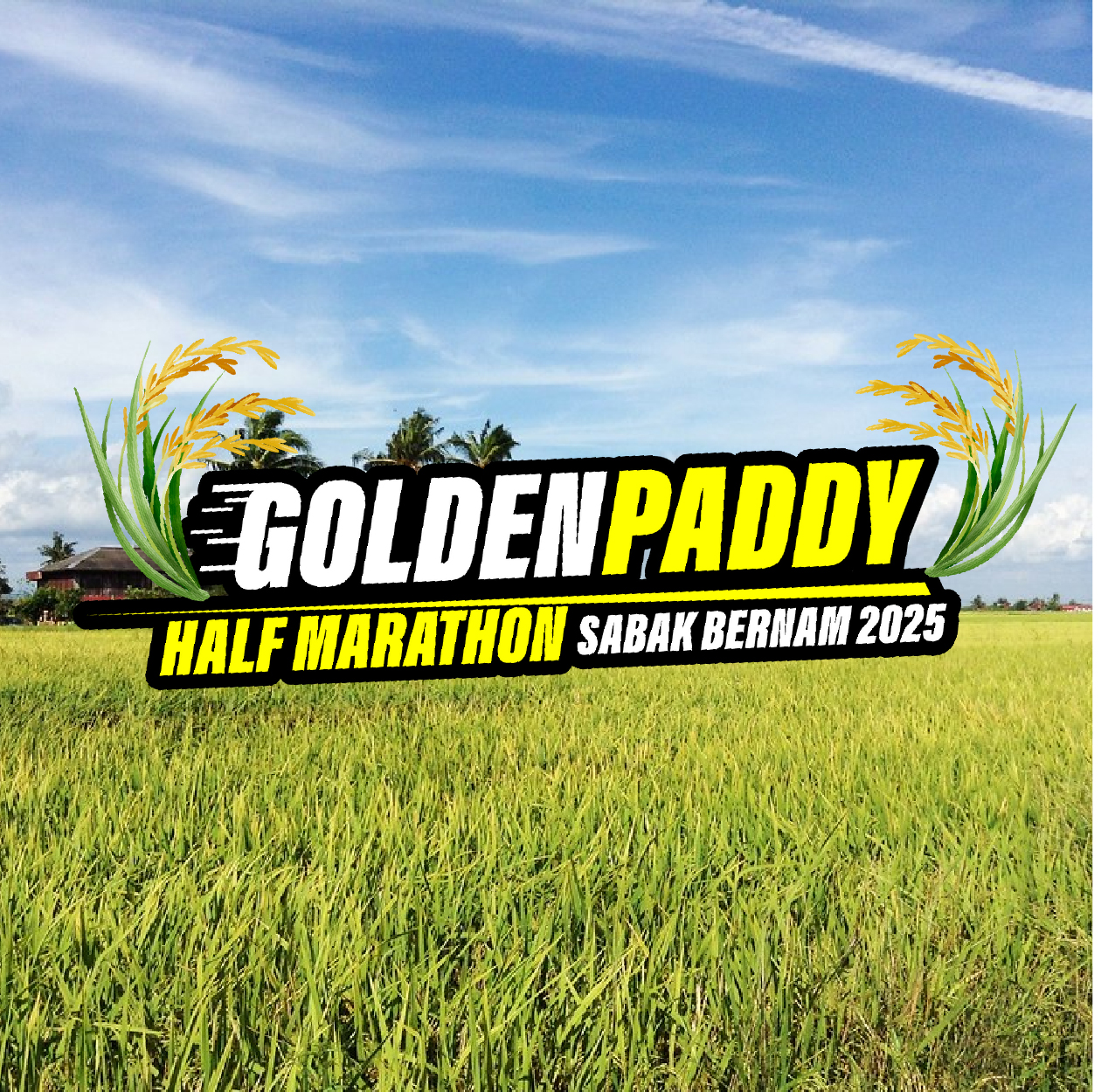 Golden Paddy Half Marathon Logo